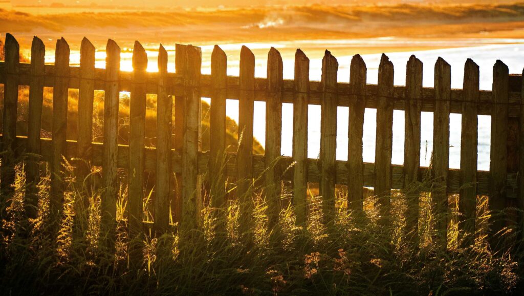 Stuck on the Fence